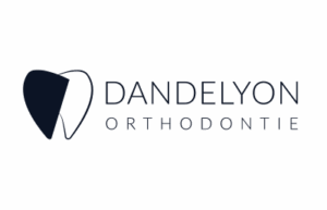dandelyon-dentaire-salmi-azzeddine-webdesigner